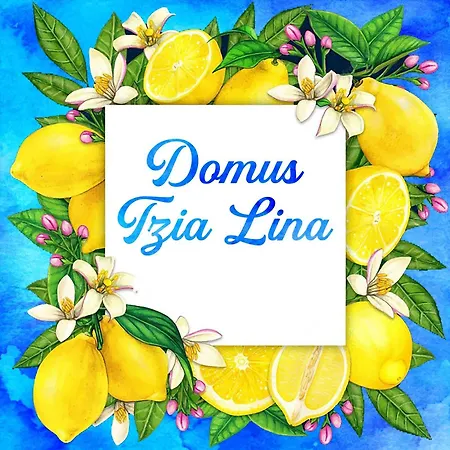Apartment Domus Tzia Lina